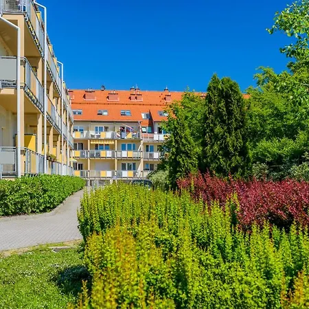 Madam Stegna (Pomerania)